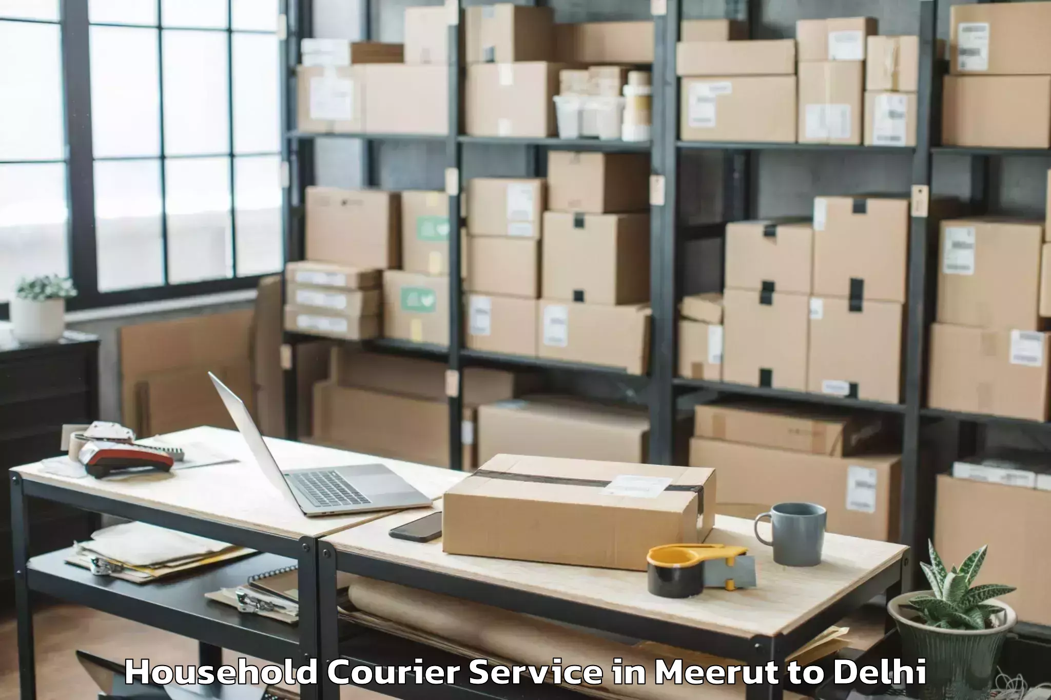 Professional Meerut to Unity One Mall Cbd Shahdara Household Courier